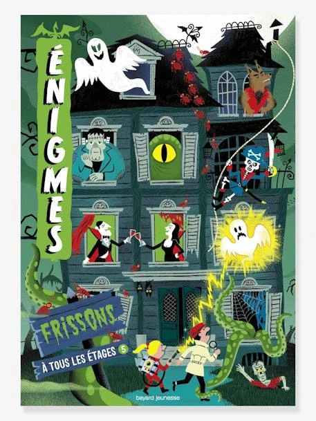 Livre-jeu Enigmes à Tous Les étages, Tome 5 BAYARD JEUNESSE Vert - Hachette