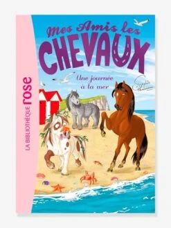 Mes Amis Les Chevaux - T.14 - Une Journée à La Mer - HACHETTE Blanc - Hachette